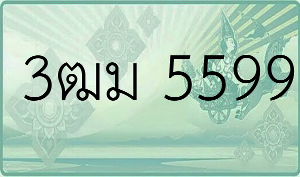 3ฒม 5599